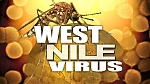 west nile virus 2016